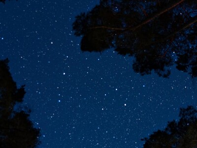 Star Party